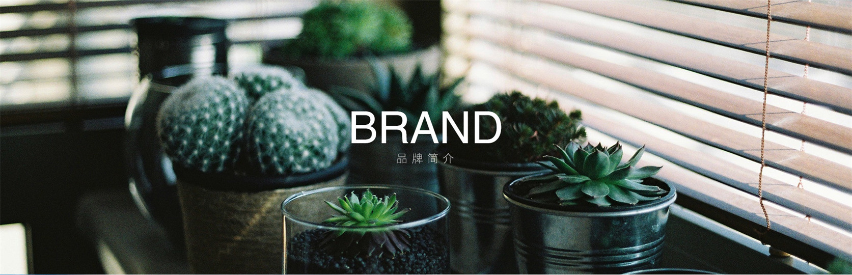 企業(yè)簡(jiǎn)介